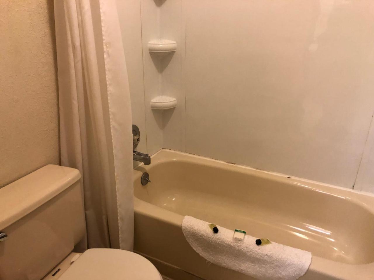 The Golden Bear Motel 托克 外观 照片